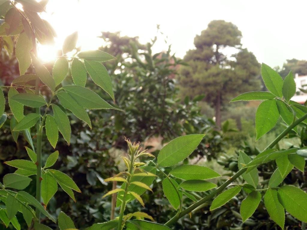 Villa Melini パティティリ 部屋 写真