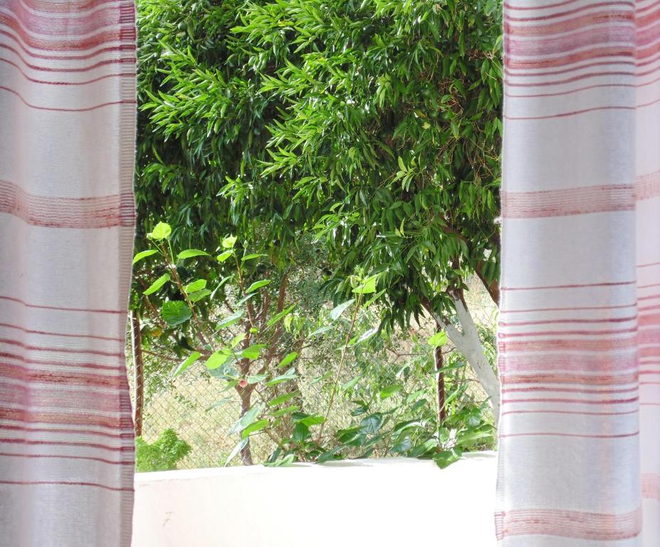Villa Melini パティティリ 部屋 写真
