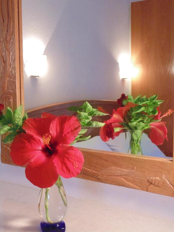 Villa Melini パティティリ 部屋 写真